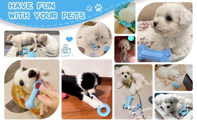 puppy toy pack