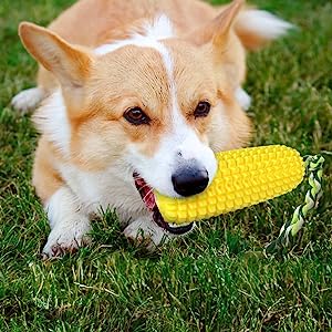 Dog Chew Toy