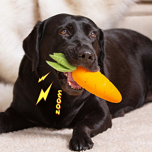 dog chew toys for aggressive chewers