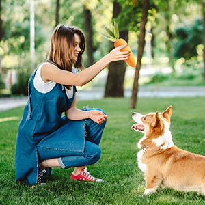 dog chew toys for aggressive chewers