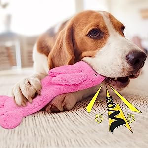 No Stuffing Squeaky Dog Toys