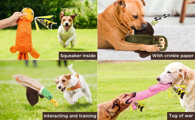 No Stuffing Squeaky Dog Toys