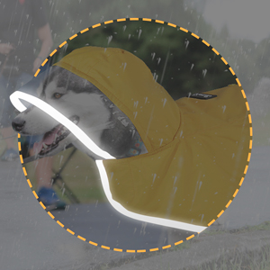 Dog raincoat