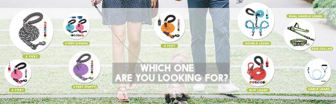 baapet_dog_leash