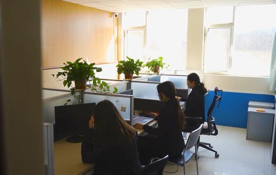 Custom 1kg 5kg 10kg 15kg Stand Up Pouch Pet Dog Cat Food Resealable Packaging Flat Bottom Bag With Zipper 13