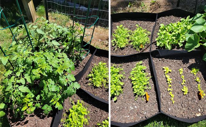 Fabric Raised Garden Bed