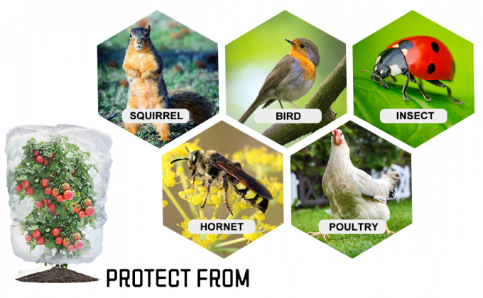 Garden Plant Fruits Blueberry Bushes Protection Netting Covers Bags with Drawstring