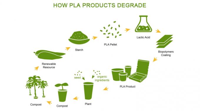 OEM Service 100% PLA Plastic Fully Compostable Quality Disposable Cutlery Biodegradable Spoon Fork Knife Set