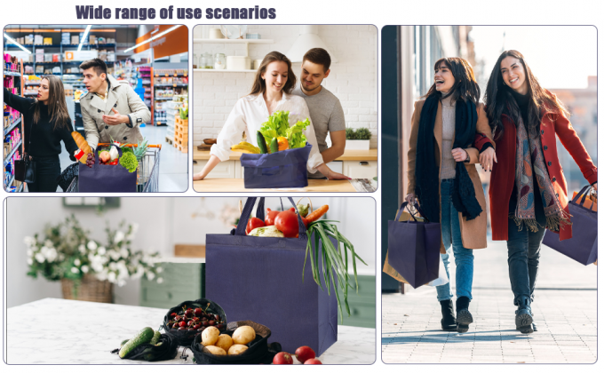 Reusable Non Woven Shopping Bags