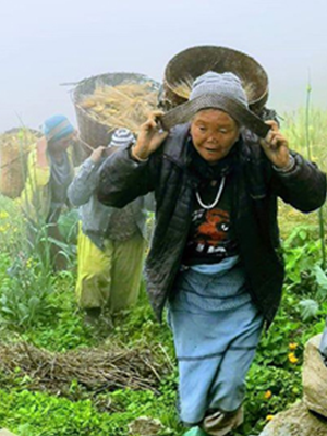 Crochet Straw Raffia Tote Bag Handmade Luxury Tote Handbag Beach Bag Handle Raffia Straw Bag Eco-Friendly New Design Crochet Tote Bag 2