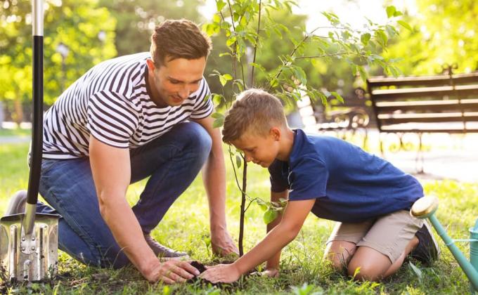 Drip Water Bag Garden Drip Bag Release Watering Bag Watering Irrigation Bag Gardening Planting Bag Drip Irrigation Bag Hydration Drip Irrigation Bag Bladder Pillow Water Tank Agriculture Irrigation 0