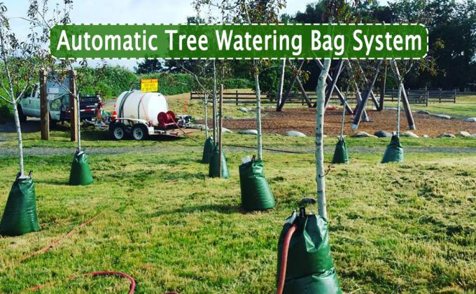 Tree Watering Bags Slow Release - Tree Watering Ring With 5L Automatic Rainwater Collection And Tree Watering System - Tree Drip Irrigation, Slow Release 4