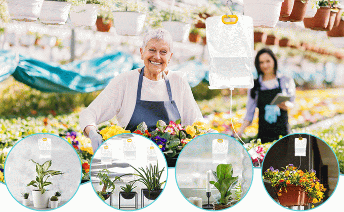 Self Watering System For Plants While Away On Vacation, Plant IV Water Bag, Indoor Plant Watering System Device, 30 Days Automatic Plant Waterer Drip Irrigation Kit For Potted Plants 2