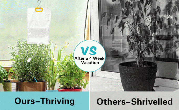 Self Watering System For Plants While Away On Vacation, Plant IV Water Bag, Indoor Plant Watering System Device, 30 Days Automatic Plant Waterer Drip Irrigation Kit For Potted Plants 1