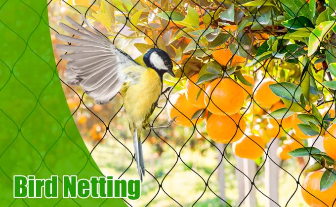 Chicken Coop Predator Proof Apron,Chicken Wire Bottom Predators Resistant,Fence Netting Barrier For Chicken Coop 1