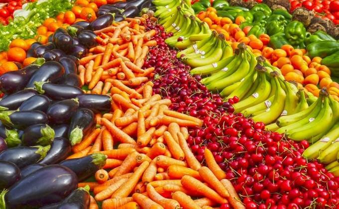 Garden Netting, Plant Covers 10x33Ft Net Ultra Fine Mesh Protection Netting For Vegetable Plants Fruits Flowers Crops Greenhouse Row Cover Raised Bed Barrier Screen Protection Net Cover 3