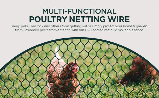 Wire, Steel Wire Mesh Roll, Versatile And Durable Garden Netting, Essential Galvanized PVC-Coated Hexagonal Chicken Wire Mesh Low Price Bulk Poultry Farm Roll Wire Welded Wire Mesh Processing Service 1