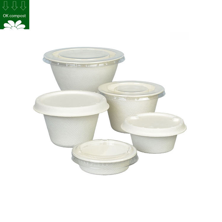 Custom Biodegradable Sugarcane Bagasse Pulp Fiber Fast Food Packing ...