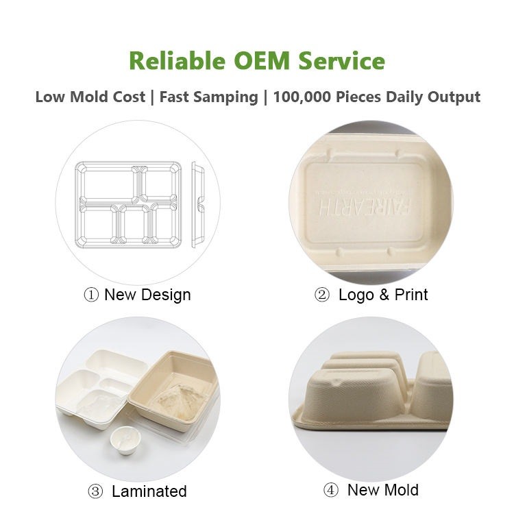 Custom Biodegradable Sugarcane Bagasse Pulp Fiber Fast Food Packing ...