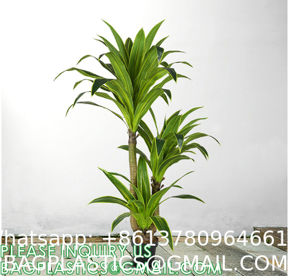 Dracaena Silk Plant Artificial 5ft Faux House Plants Evergreen Dracaena Marginata Fake Yucca Palm Trees in Pot