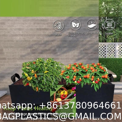Fabric Raised Garden Bed 6x3x1ft Garden Grow Bed Bags for Growing Herbs, Flowers and Vegetables 128 Gallon