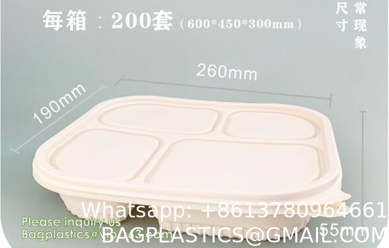 Takeout Takeaway Good Eco Sugarcane 800ml Lunch Box Clamshell Disposable Biodegradable Food Containers With Custom Logo