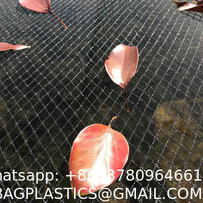 Anti Hail Net Agriculture Mesh HDPE Apple Tree Garden Hail Proof Netting Polyethylene Cheap Price Hail Guard Net Car Hail Protection Net Anti-Insect Hail Netting for Agricultural Apple Trees